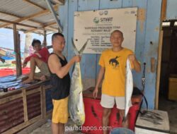 Program MBG di Kaur Serap 1,5 Ton Ikan Tuna dan Marlin per Bulan, Putar Ekonomi Nelayan Rp90 Juta