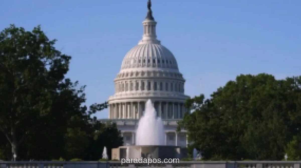 Puluhan Veteran AS Ditangkap Usai Protes Damai Antiperang di Capitol Hill