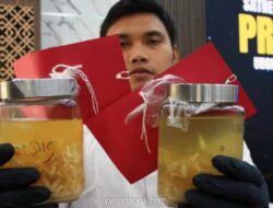 Kemenkeu Buka 300 Lowongan CPNS Bea Cukai untuk Lulusan SMA Mei 2026