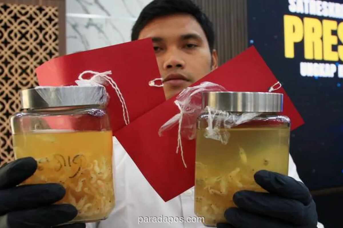 Kemenkeu Buka 300 Lowongan CPNS Bea Cukai untuk Lulusan SMA Mei 2026