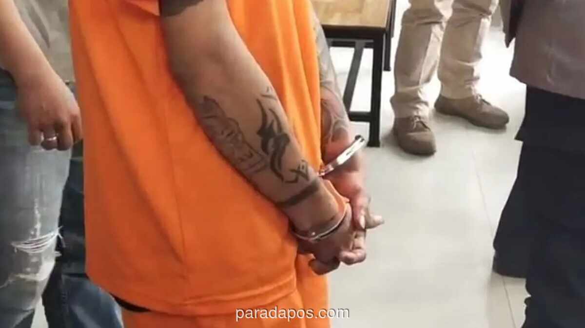 Polisi Bekuk WNA di Ancol, 321 Cartridge Vape Berisi Narkotika Jenis Baru Diamankan