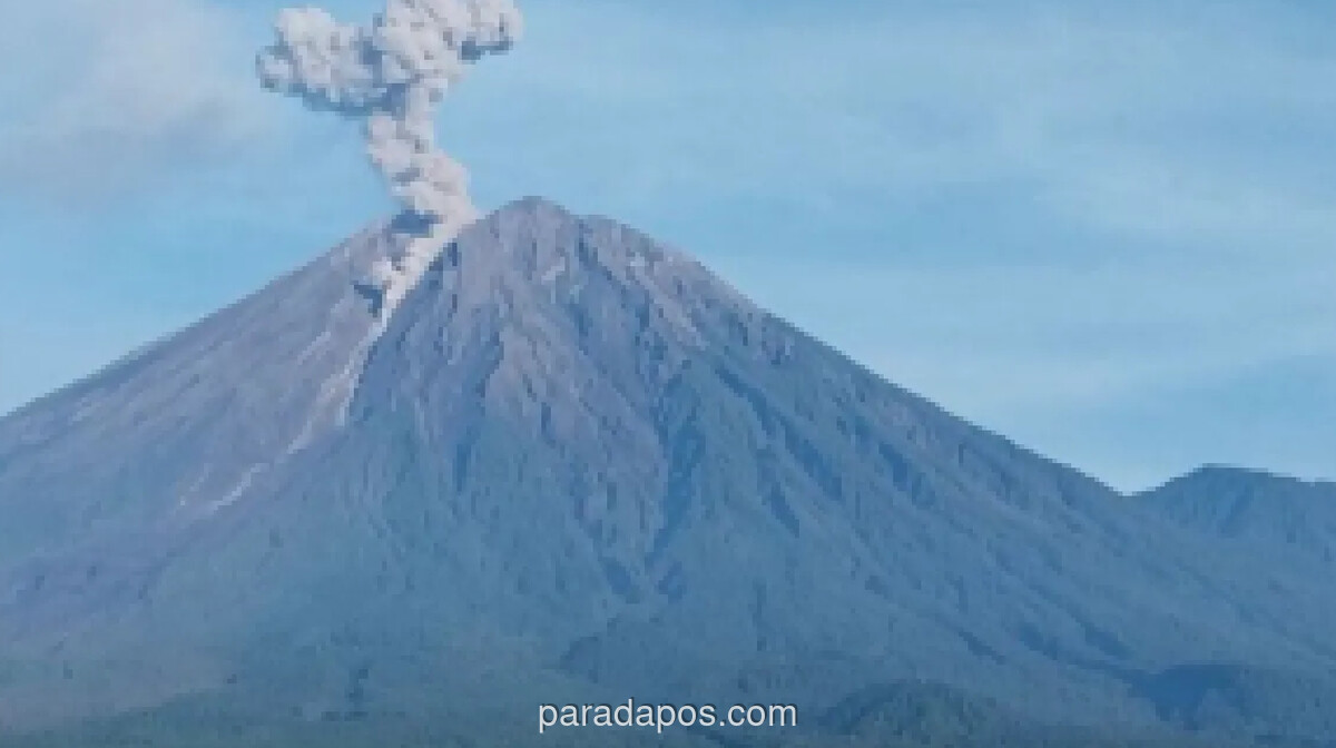 Gunung Semeru Erupsi Tujuh Kali dalam Sembilan Jam, Status Tetap Siaga