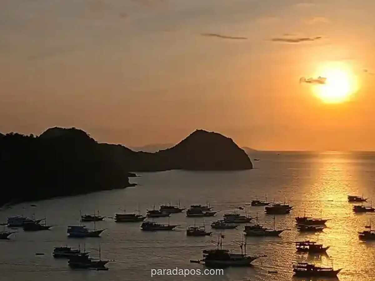 Infrastruktur dan Perahu Tenaga Surya Ubah Nasib Nelayan Warloka Pesisir, dari Hasil 10 Ton Kini Capai 30 Ton