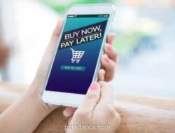 OJK Ingatkan Keterlambatan Bayar Paylater Tercatat di SLIK dan Pengaruhi Skor Kredit