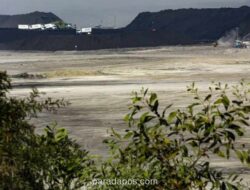 Harga Batu Bara Ikut Naik, PTBA Fokus Efisiensi Hadapi Tekanan Biaya