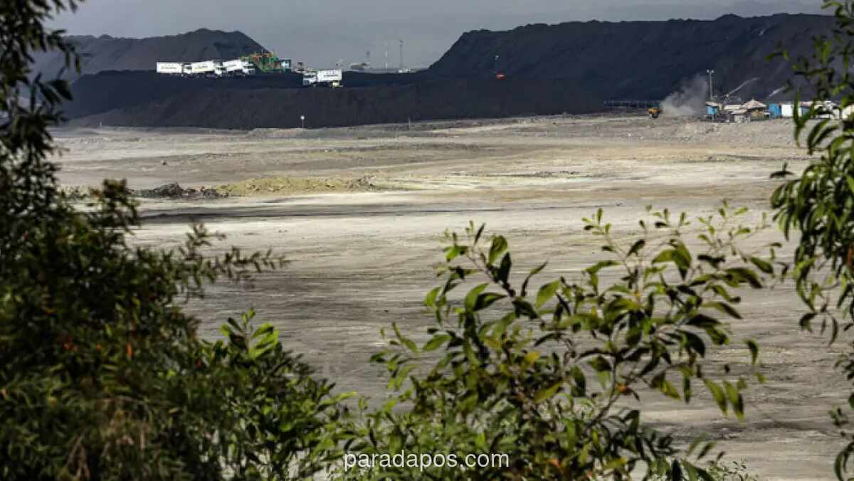 Harga Batu Bara Ikut Naik, PTBA Fokus Efisiensi Hadapi Tekanan Biaya