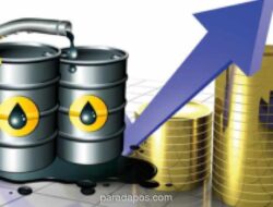 Indonesia Peringkat Kedua Dunia untuk Ketahanan Energi, Didorong Desain Kebijakan Terintegrasi