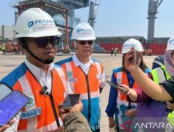 Kinerja PTP Nonpetikemas Triwulan I 2026: Cabang Tanjung Priok Sumbang Hampir 60 Persen Pendapatan Perusahaan