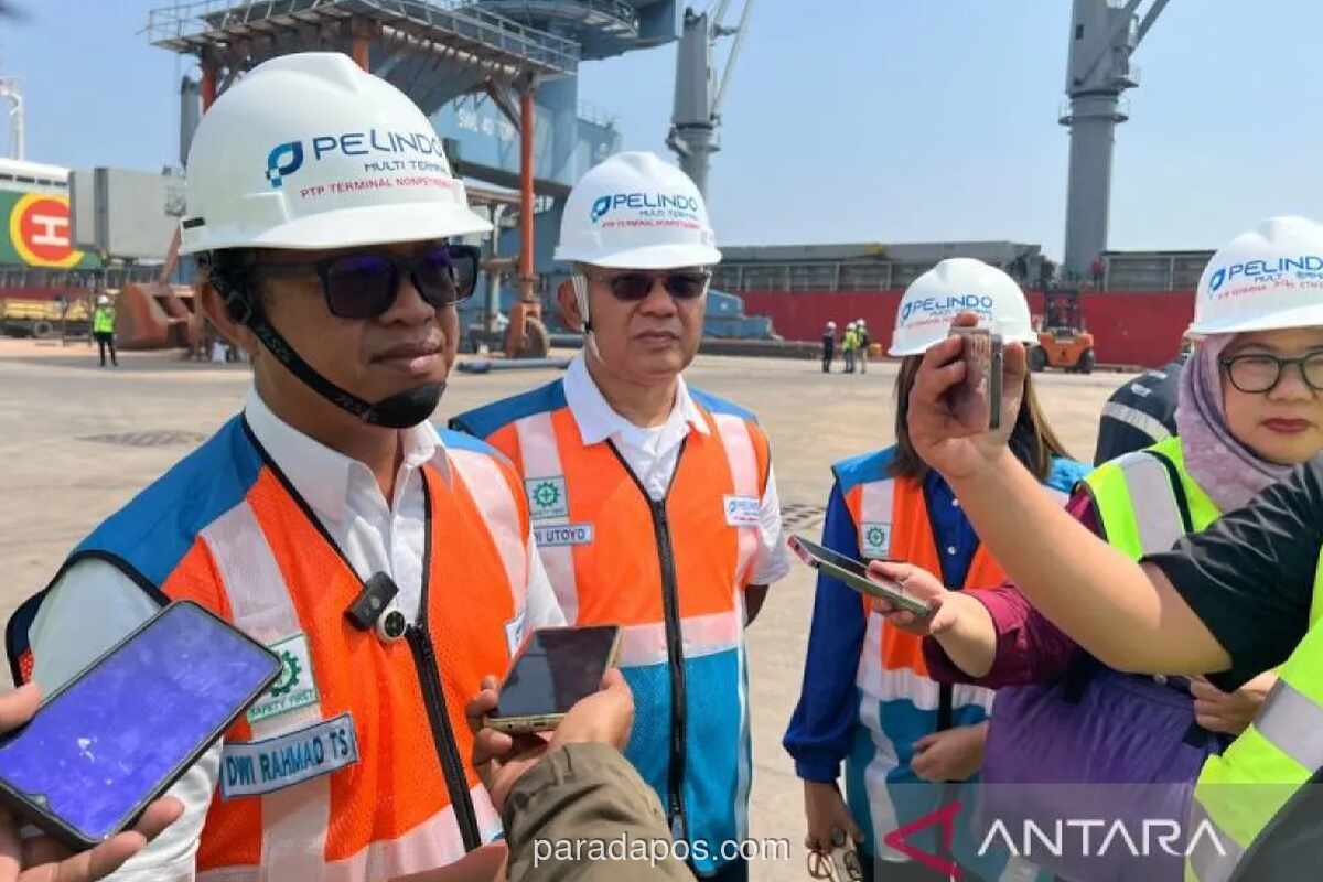 Kinerja PTP Nonpetikemas Triwulan I 2026: Cabang Tanjung Priok Sumbang Hampir 60 Persen Pendapatan Perusahaan