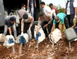 Polda NTT Musnahkan 6.381 Liter Miras Ilegal di TPA Alak