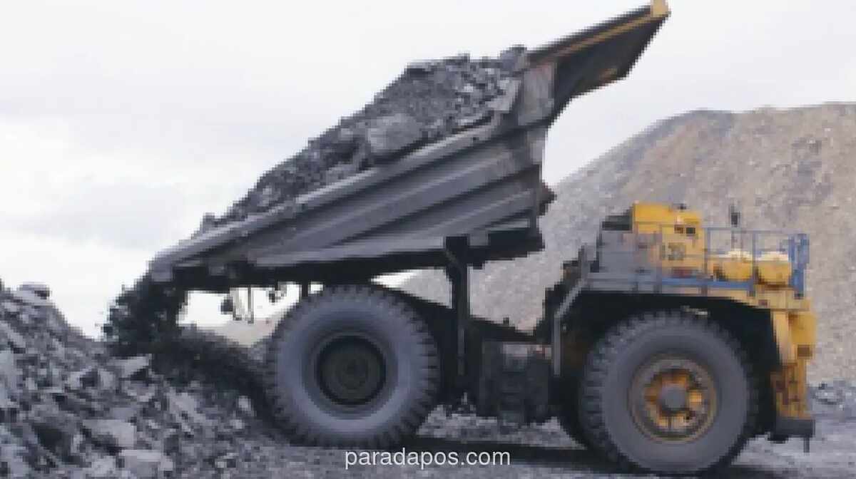 Anggota DPR Usulkan Transaksi Batu Bara DMO Pakai Rupiah untuk Lindungi APBN