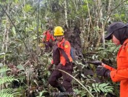 Tim SAR Gabungan Gunakan Drone Thermal Cari Remaja 14 Tahun yang Hilang di Hutan Mamuju