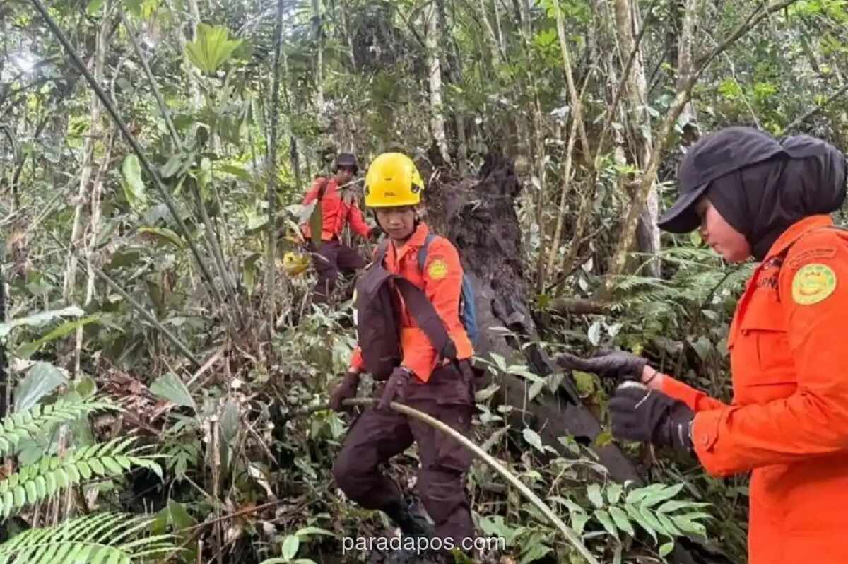 Tim SAR Gabungan Gunakan Drone Thermal Cari Remaja 14 Tahun yang Hilang di Hutan Mamuju