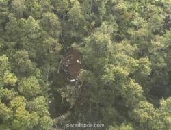 Tim SAR Temukan Serpihan Ekor Helikopter Hilang di Sekadau, Delapan Orang Dievakuasi