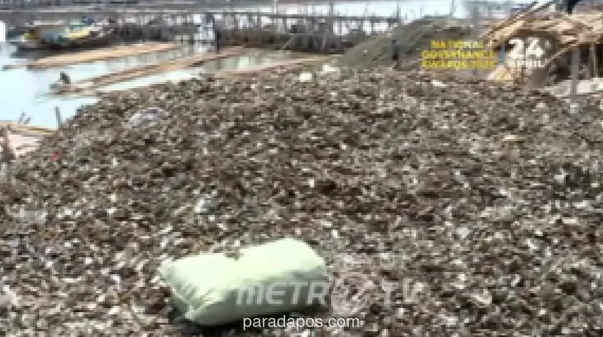 Limbah Cangkang Kerang Hijau Tumpuk di Pantai Cilincing, Warga Khawatirkan Pencemaran