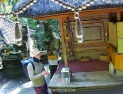 WNA Tertangkap CCTV Ambil Uang Donasi di Pura Goa Gajah, Polisi Selidiki