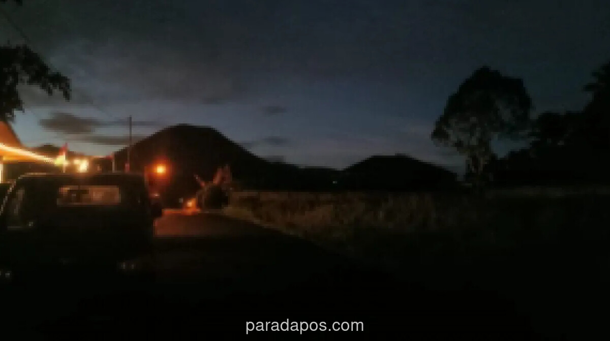 Badan Geologi Ingatkan Warga Tomohon Waspadai Gas Beracun dan Erupsi Mendadak Gunung Lokon