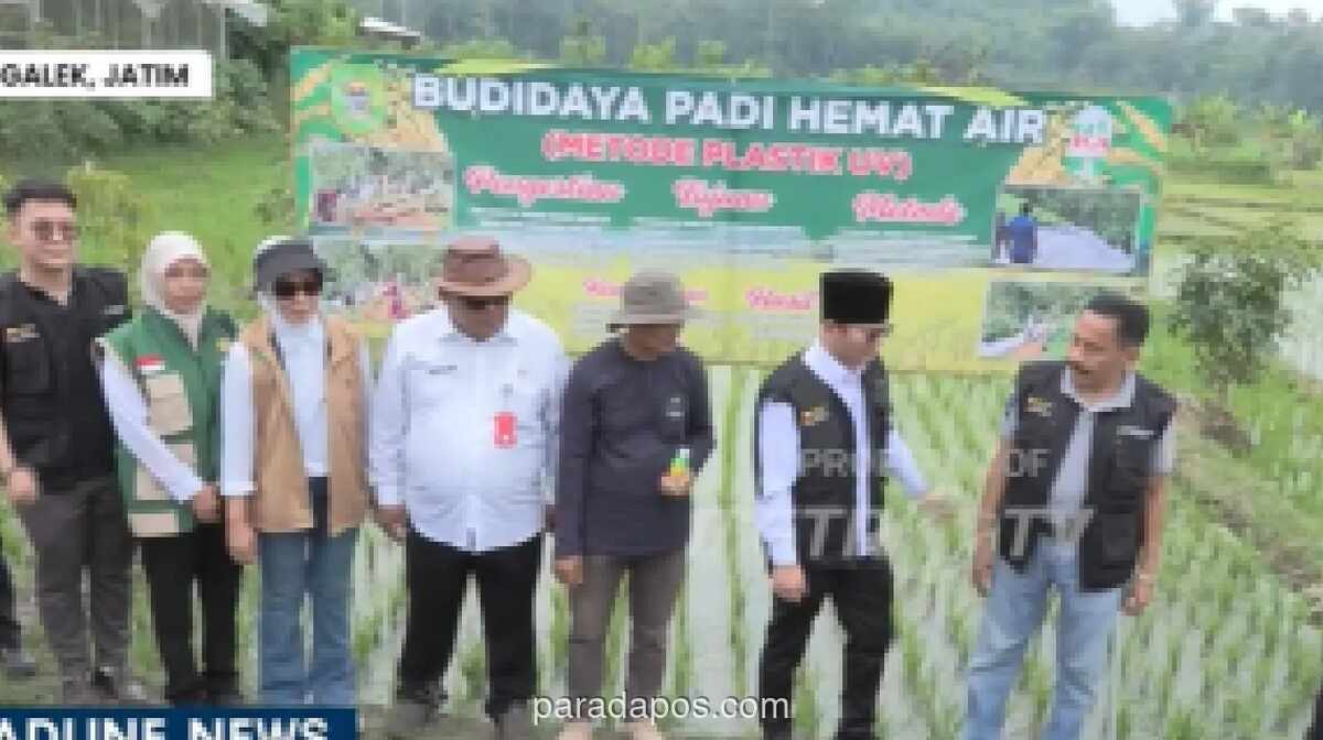 Yayasan Swatantra Pangan Nusantara Gencarkan Edukasi Ketahanan Pangan Sejak Dini di Trenggalek
