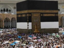 Lebih dari 100 Ribu Jemaah Haji Indonesia Tunaikan Dam, Kemenhaj Catat 71 Ribu Bayar Lewat Program ADAHI