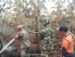 19 Kecamatan di Muara Enim Masuk Zona Rawan Karhutla, Status Siaga Darurat Berlaku hingga Agustus 2026