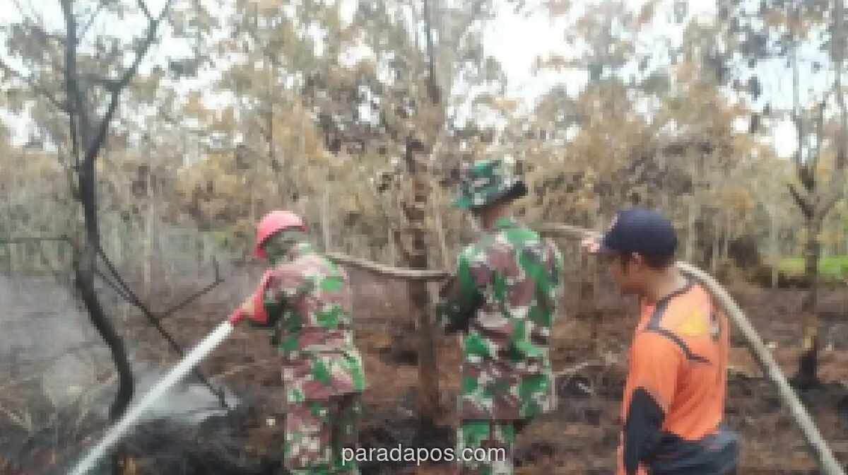 19 Kecamatan di Muara Enim Masuk Zona Rawan Karhutla, Status Siaga Darurat Berlaku hingga Agustus 2026