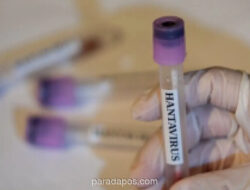 Empat ABK Negatif Hantavirus, Dinkes Jakarta Barat Perketat Pengawasan