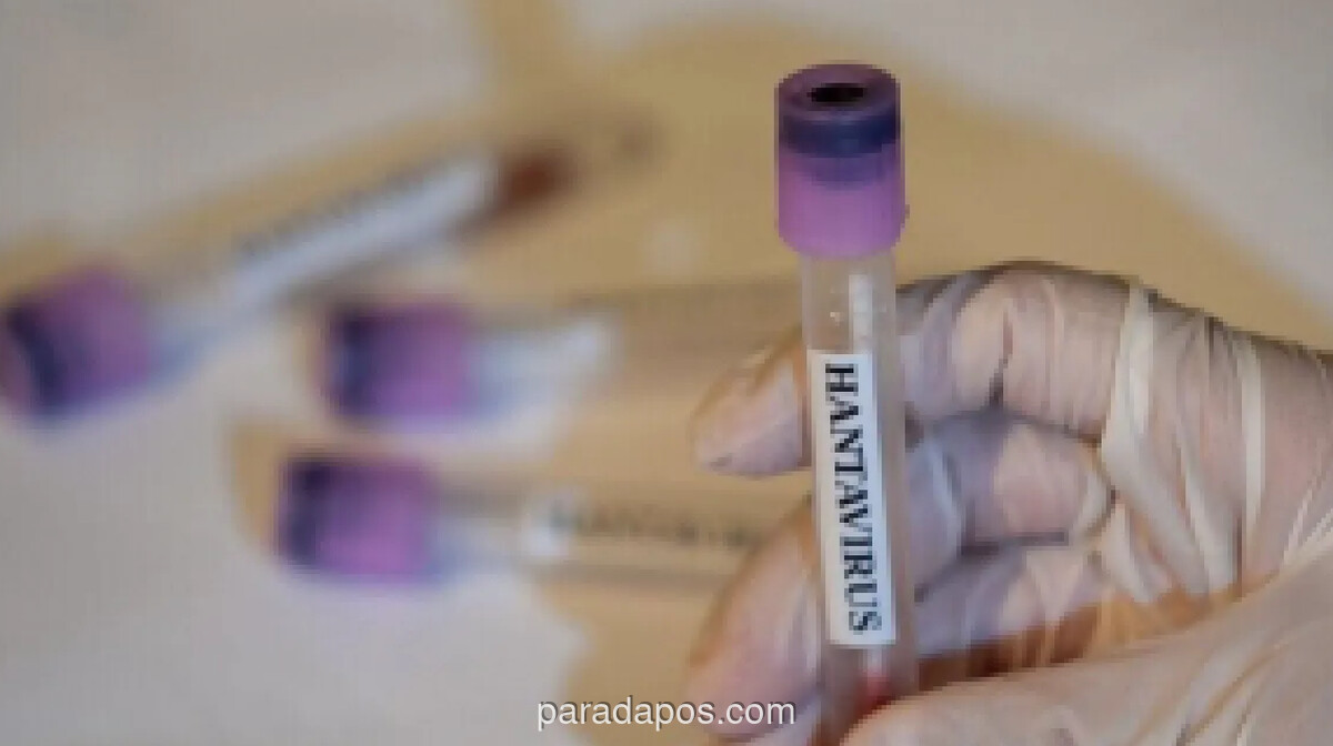 Empat ABK Negatif Hantavirus, Dinkes Jakarta Barat Perketat Pengawasan