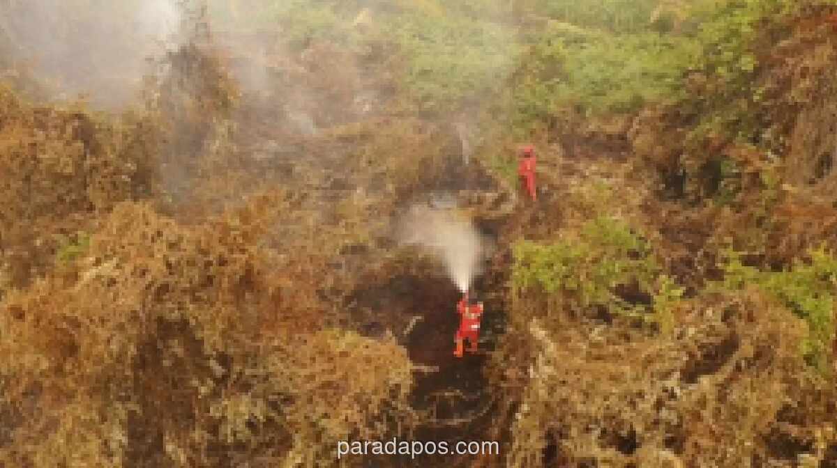 Kebakaran Lahan 60 Hektare di Pelalawan, Tim Manggala Agni Dikerahkan Padamkan Api