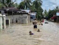Ribuan Rumah di Bungo Terendam Banjir, Hujan Lebat Luapkan Sungai Batang Bungo