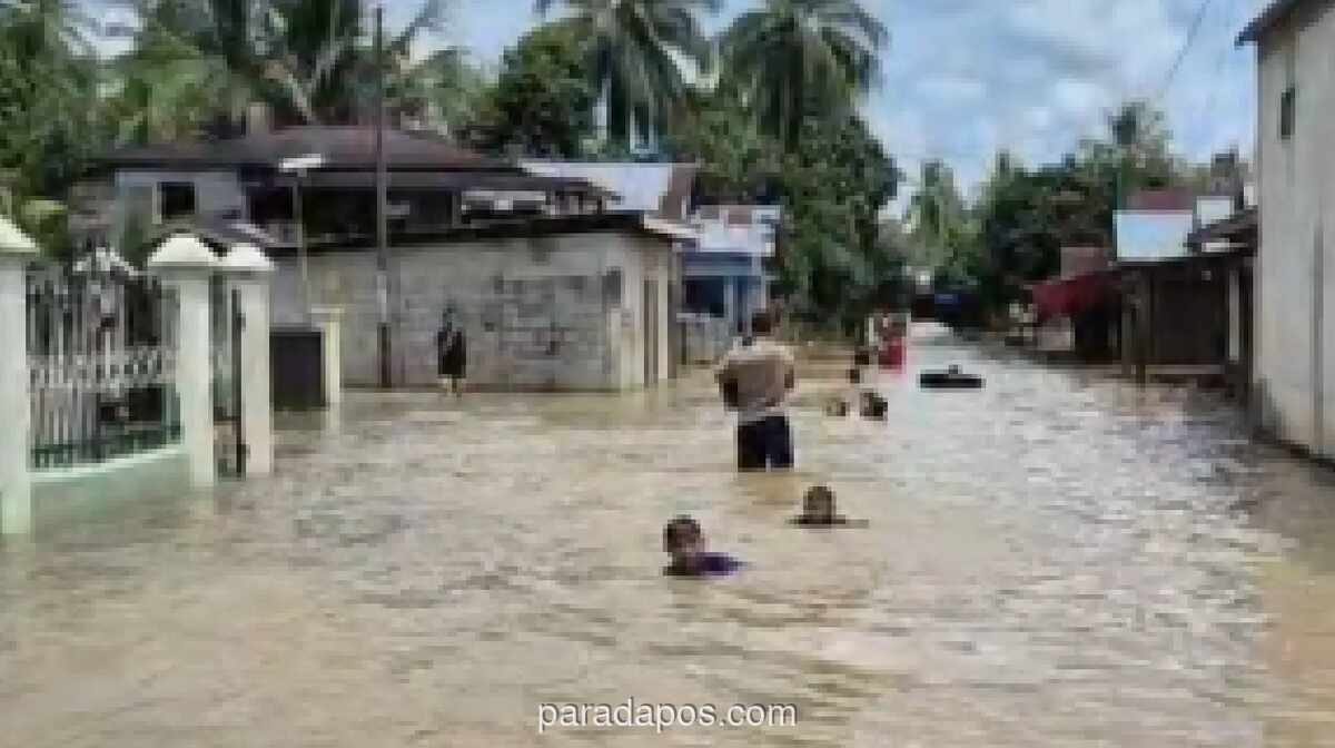 Ribuan Rumah di Bungo Terendam Banjir, Hujan Lebat Luapkan Sungai Batang Bungo