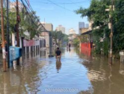 37 RT di Petogogan Kebayoran Baru Terendam Banjir, RW 03 Paling Parah Akibat Luapan Kali Krukut