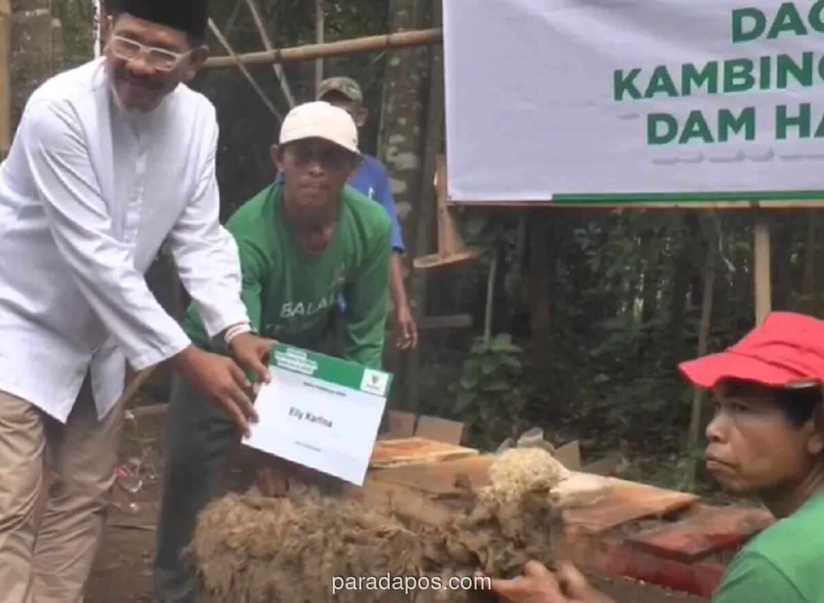 Baznas Salurkan 50 Kambing Dam Haji ke Warga Kurang Mampu di Pemalang