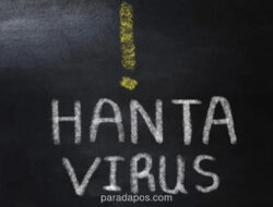 Hantavirus Mengintai di Selokan dan Pasar, Indonesia Abai Meski Data Risiko Sudah Ada Sejak 1980-an