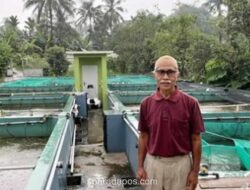 Pensiunan BUMN Sukses Kembangkan Budi Daya Ikan Nila Bioflok Berkat Pinjaman BRI