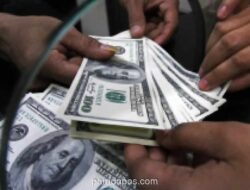 Dolar AS Stabil di Tengah Spekulasi Suku Bunga, Sentimen Konsumen Anjlok ke Rekor Terendah