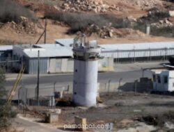 Dua Aktivis Global Sumud Flotilla Dipindahkan ke Penjara Shikma Israel