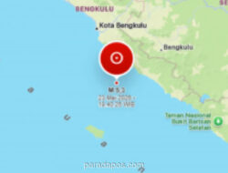 Gempa Magnitudo 5,3 Guncang Bengkulu Selatan, BMKG Imbau Warga Waspada Gempa Susulan