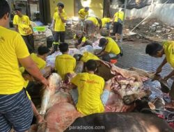 Golkar DKI Jakarta Salurkan 117 Hewan Kurban di Lima Wilayah Jakarta