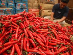 Harga Cabai di Jabar Tembus Batas Waspada Jelang Iduladha 2026, Pasokan Terganggu Cuaca dan Penyakit
