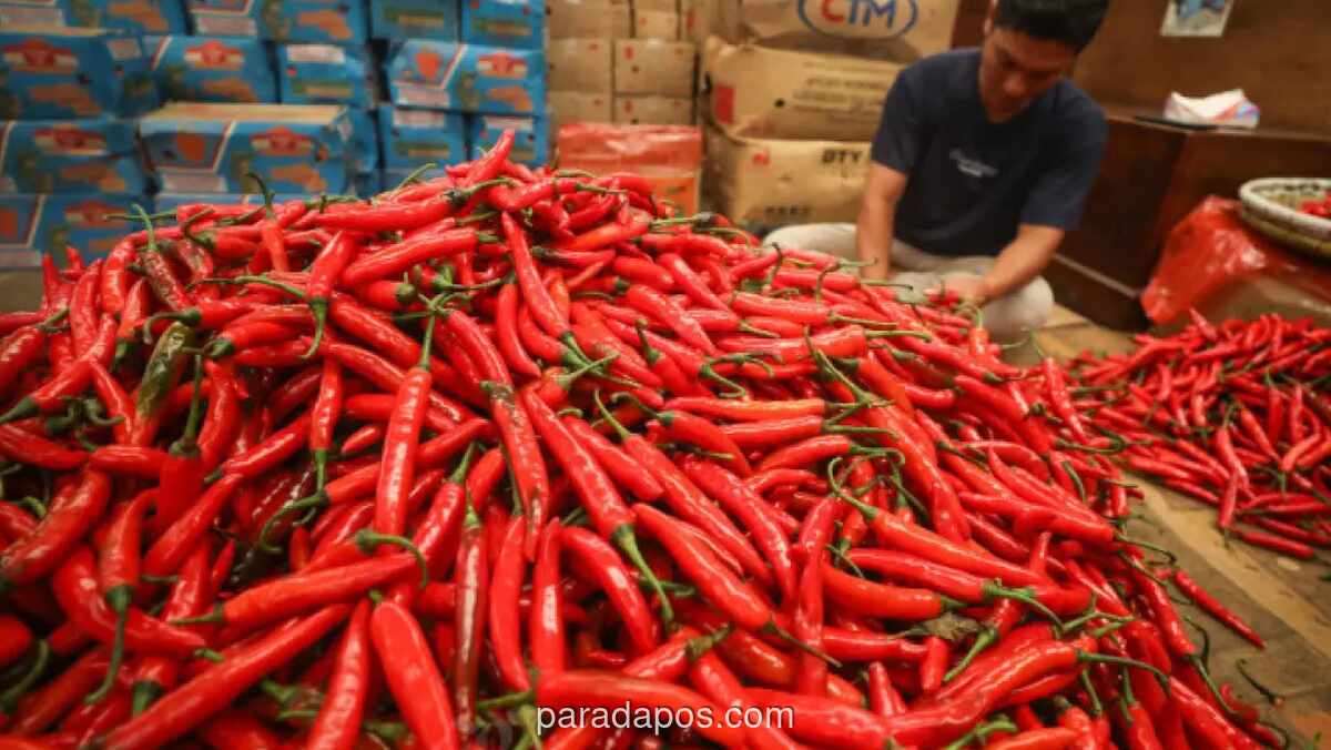 Harga Cabai di Jabar Tembus Batas Waspada Jelang Iduladha 2026, Pasokan Terganggu Cuaca dan Penyakit