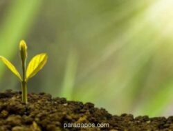 BRI Life Perkuat Komitmen ESG Lewat Program Kesehatan Mata, Pemberdayaan Ekonomi, dan Penanaman Pohon