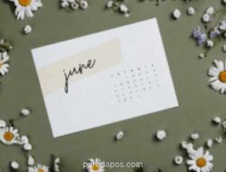 Juni 2026 Punya Dua Tanggal Merah, Ini Potensi Libur Panjang yang Bisa Diraih