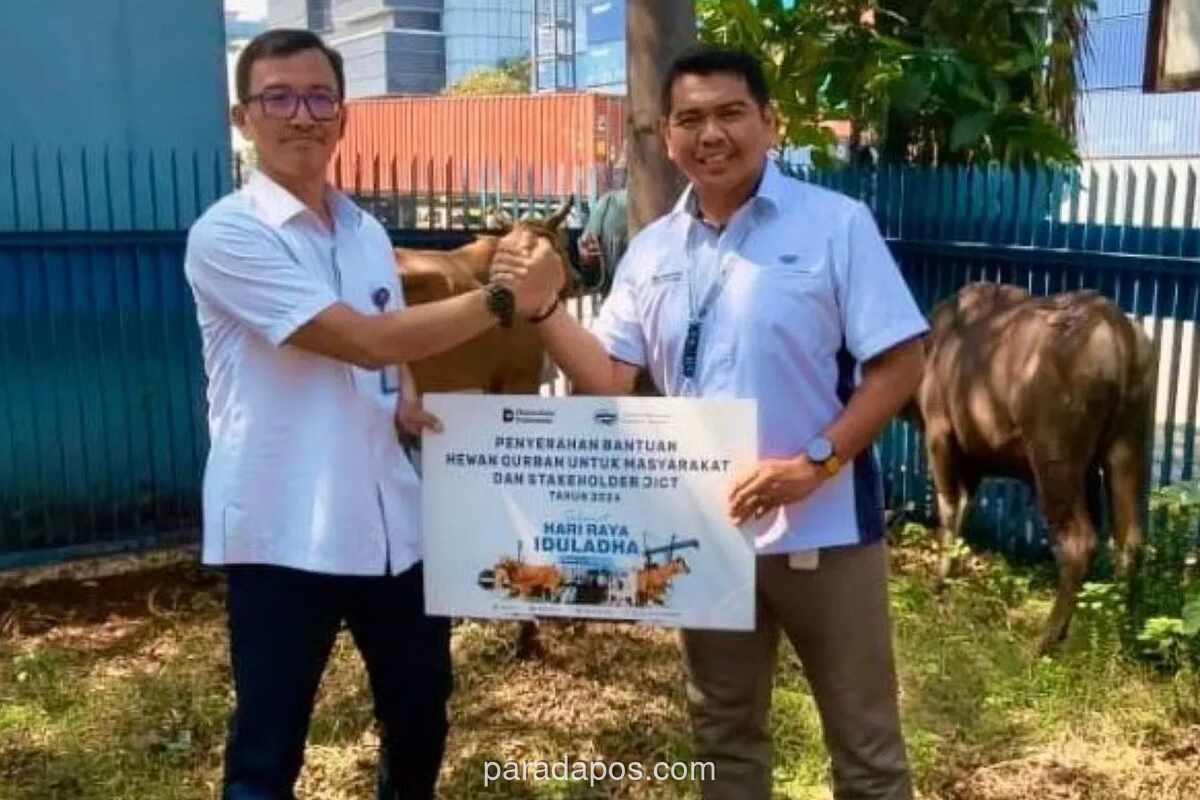 JICT Salurkan 44 Ekor Sapi Kurban ke Masyarakat Sekitar Pelabuhan Tanjung Priok
