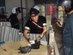 Polisi Gerebek ‘Kampung Narkoba’ di Pekanbaru, Sabu dan Ekstasi Ditemukan Terkubur di Tumpukan Pasir
