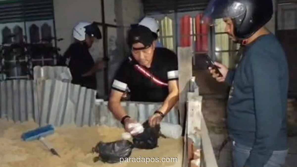Polisi Gerebek ‘Kampung Narkoba’ di Pekanbaru, Sabu dan Ekstasi Ditemukan Terkubur di Tumpukan Pasir