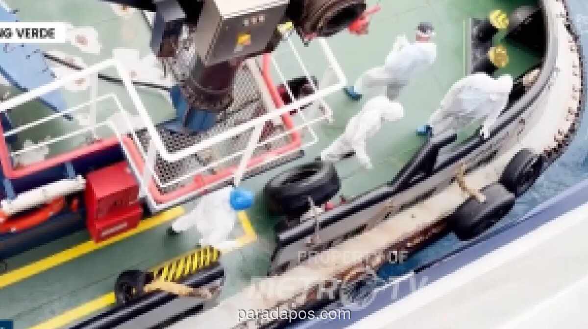 Wabah Hantavirus di Kapal Pesiar Belanda Tewaskan Tiga Penumpang, Terkatung-katung di Tanjung Verde