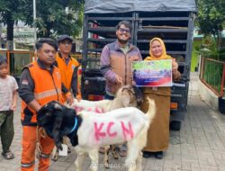 PT KCN Salurkan 33 Hewan Kurban ke Masyarakat Cilincing dan Marunda Jelang Iduladha