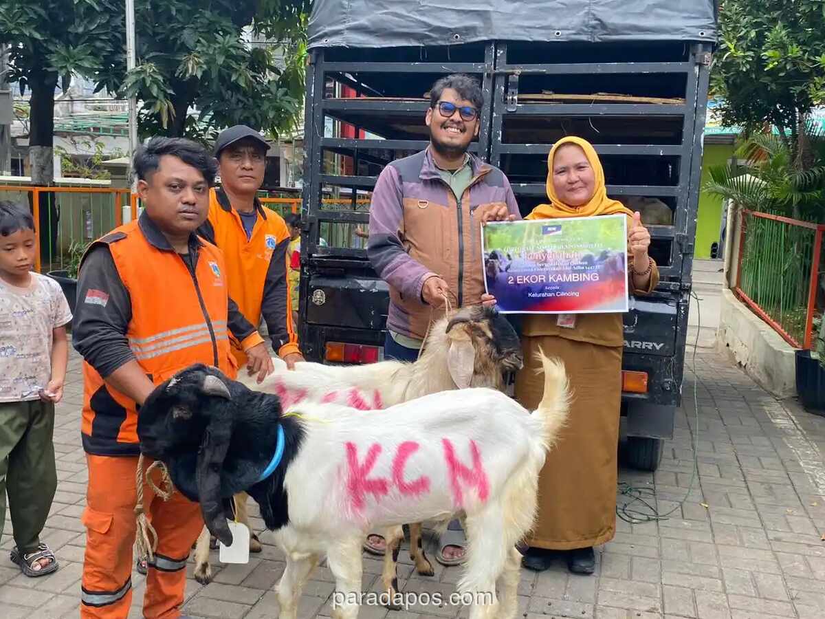 PT KCN Salurkan 33 Hewan Kurban ke Masyarakat Cilincing dan Marunda Jelang Iduladha