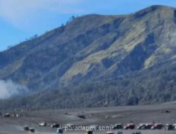 BBTNBTS Evaluasi Sistem Keamanan Transportasi Bromo Usai Kecelakaan Jip Tewaskan Dua Orang