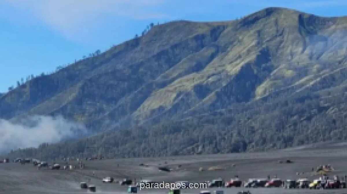 BBTNBTS Evaluasi Sistem Keamanan Transportasi Bromo Usai Kecelakaan Jip Tewaskan Dua Orang